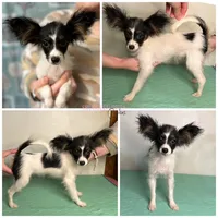 processed/a314b167-b57a-4ef9-9e9c-38fd8efabf99/listing/55858727-fc78-48e1-acae-7c0bf46a6338/93fe9639-2068-44e7-98dd-c4adb506b161