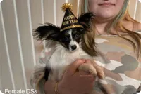 processed/a314b167-b57a-4ef9-9e9c-38fd8efabf99/listing/55858727-fc78-48e1-acae-7c0bf46a6338/9432471b-0473-444c-9bd7-9096fae39492