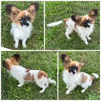 processed/a314b167-b57a-4ef9-9e9c-38fd8efabf99/listing/cb37746d-3167-41f5-adc2-ea05ef631c74/75a599d5-4f28-422c-87f1-e14f1c226381