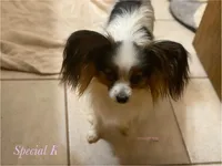 processed/a314b167-b57a-4ef9-9e9c-38fd8efabf99/listing/cb37746d-3167-41f5-adc2-ea05ef631c74/9d068894-65fc-4266-8c33-056cd244c0d9