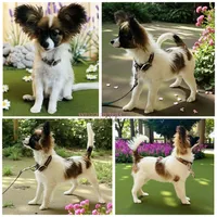 processed/a314b167-b57a-4ef9-9e9c-38fd8efabf99/listing/cb37746d-3167-41f5-adc2-ea05ef631c74/c365732b-bc09-43ec-af8d-4b394dbc0126