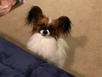 processed/a314b167-b57a-4ef9-9e9c-38fd8efabf99/listing/cb37746d-3167-41f5-adc2-ea05ef631c74/c8859894-da9e-4006-9719-7e9d7feefb08