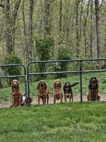 Facility photo