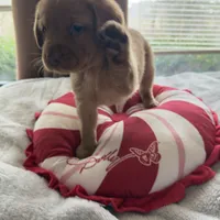 processed/a318bcbf-533f-41af-957b-449e0b55ec98/listing/edf7e826-a0be-4556-8316-376dccc23188/98472aa7-34ad-40ca-af1a-291a339dee16