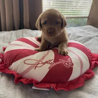 processed/a318bcbf-533f-41af-957b-449e0b55ec98/listing/edf7e826-a0be-4556-8316-376dccc23188/ccf47145-4e70-4b49-8501-0099e7b96901