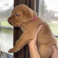 processed/a318bcbf-533f-41af-957b-449e0b55ec98/listing/edf7e826-a0be-4556-8316-376dccc23188/d501d054-de7c-4292-b01d-07c4c8c011cb