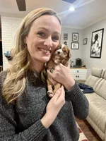 Casey, a male Cavalier King Charles Spaniel for sale in Arlington, TX – Photo 8 of 10