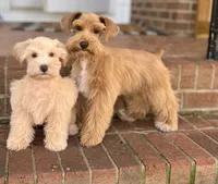 processed/a32e360e-d803-4c5c-a074-ef6c3dc130e3/facility/0e46fba6-5b81-4db0-96e5-e177e0d2a8db