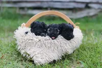 processed/a32e360e-d803-4c5c-a074-ef6c3dc130e3/facility/a89ea1eb-a817-4c7c-a497-c669adcdebc1