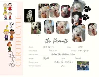 Charlie Brown , a male Great Pyrenees for sale in Howell, MI – 1 of 10