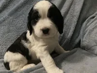 processed/a3314762-913d-4315-ab74-5d9b117487da/facility/0ad1c8df-8875-48a0-9096-cc66a5840700