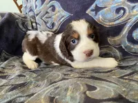 processed/a3314762-913d-4315-ab74-5d9b117487da/facility/167c68c9-37a4-44c0-9a38-39323995d5cb