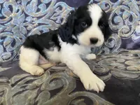 processed/a3314762-913d-4315-ab74-5d9b117487da/facility/179fcc54-5cff-4f55-8586-7cc6aace3289