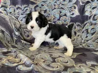 processed/a3314762-913d-4315-ab74-5d9b117487da/facility/97a4625b-4cc3-4406-ba91-5e596b59412d