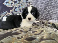 processed/a3314762-913d-4315-ab74-5d9b117487da/facility/e7cce709-1cef-4816-a19e-395f45280f11