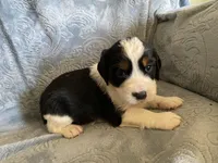 processed/a3314762-913d-4315-ab74-5d9b117487da/facility/eb5c95cd-4a29-4967-b8da-990b037baa5f