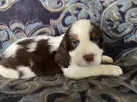 processed/a3314762-913d-4315-ab74-5d9b117487da/facility/fb97b2b4-4162-46b5-a920-8a3cddc2fc65