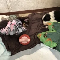 processed/a33172a0-3e80-4182-b7e8-f974aba3800d/facility/1ad5b890-76dc-4638-a4e7-9b87a60c9f4c