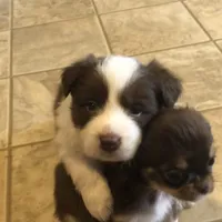 processed/a33172a0-3e80-4182-b7e8-f974aba3800d/facility/4f9dd0ba-7ecf-47a0-adf8-ad7d5e406d75