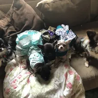 processed/a33172a0-3e80-4182-b7e8-f974aba3800d/facility/7dccfbc1-beca-4b76-a78b-d88731abb65b