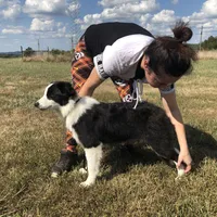 processed/a33172a0-3e80-4182-b7e8-f974aba3800d/facility/8da1c75e-688b-401a-b463-6a7f672d58d8