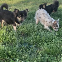 processed/a33172a0-3e80-4182-b7e8-f974aba3800d/facility/90bc46b3-8558-42ab-8d2e-ae8c2d2227b5