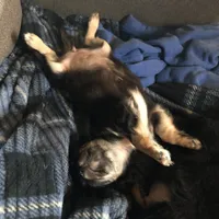 processed/a33172a0-3e80-4182-b7e8-f974aba3800d/facility/b33260cc-09a2-4747-906a-94548faeb02b