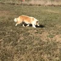 processed/a33172a0-3e80-4182-b7e8-f974aba3800d/facility/d06574d6-0fb5-4d77-8225-49a859c1e40b