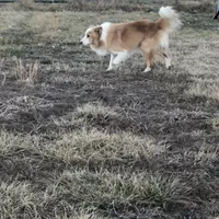 processed/a33172a0-3e80-4182-b7e8-f974aba3800d/facility/fff383fe-118a-4302-8515-3edfca40dd66