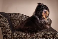 processed/a33199eb-3558-4b31-8a8e-8db808006e47/facility/2dbe6893-e338-49bd-b429-f8876aaed071