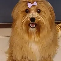 processed/a33199eb-3558-4b31-8a8e-8db808006e47/facility/2dfd5cde-2574-4571-8e09-c976631d960c