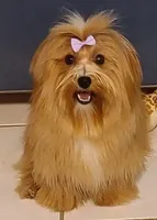 processed/a33199eb-3558-4b31-8a8e-8db808006e47/facility/2dfd5cde-2574-4571-8e09-c976631d960c