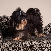 processed/a33199eb-3558-4b31-8a8e-8db808006e47/facility/3682e300-d317-49a4-a05a-76873a70e289