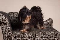 processed/a33199eb-3558-4b31-8a8e-8db808006e47/facility/3682e300-d317-49a4-a05a-76873a70e289