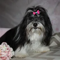 processed/a33199eb-3558-4b31-8a8e-8db808006e47/facility/48bdbb0b-c780-43b4-a1b4-8993da10b0fd