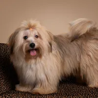 processed/a33199eb-3558-4b31-8a8e-8db808006e47/facility/95b4ed5c-55a2-450e-ba39-2a81814eeba9