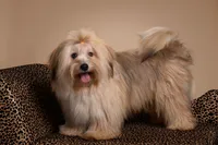 processed/a33199eb-3558-4b31-8a8e-8db808006e47/facility/95b4ed5c-55a2-450e-ba39-2a81814eeba9