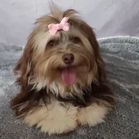 processed/a33199eb-3558-4b31-8a8e-8db808006e47/facility/b3b28633-f7d2-4485-a865-18bfd65643bd