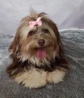 processed/a33199eb-3558-4b31-8a8e-8db808006e47/facility/b3b28633-f7d2-4485-a865-18bfd65643bd