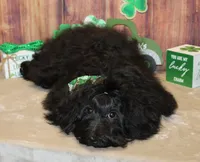 processed/a33199eb-3558-4b31-8a8e-8db808006e47/listing/156531f4-f022-48be-842b-3863da04afa8/6817158d-f808-466b-ad77-d344c042b15a