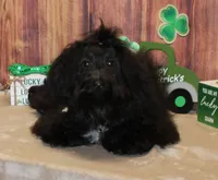 processed/a33199eb-3558-4b31-8a8e-8db808006e47/listing/156531f4-f022-48be-842b-3863da04afa8/6ab3dcf9-c50e-473f-b72b-45e8a8e6f440