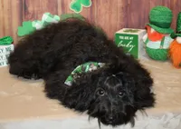 processed/a33199eb-3558-4b31-8a8e-8db808006e47/listing/156531f4-f022-48be-842b-3863da04afa8/fb470b88-be15-4814-9b7f-38dd6e939b31