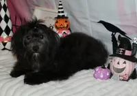 processed/a33199eb-3558-4b31-8a8e-8db808006e47/listing/2d807c3a-915b-4119-b3ab-84a1483abfe8/1b027c98-bc66-488a-99d0-e71bd07f2d88