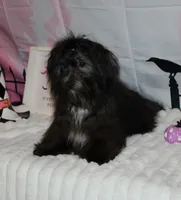 processed/a33199eb-3558-4b31-8a8e-8db808006e47/listing/2d807c3a-915b-4119-b3ab-84a1483abfe8/773e36ba-41c0-447c-bcc2-10ff7596abeb