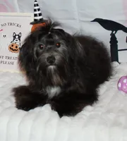 processed/a33199eb-3558-4b31-8a8e-8db808006e47/listing/2d807c3a-915b-4119-b3ab-84a1483abfe8/e06ecfa5-57a6-4513-a30a-402d449adcb9