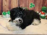 processed/a33199eb-3558-4b31-8a8e-8db808006e47/listing/33e7b0c7-6b68-4459-b0dc-b838a8985e97/481795fd-a727-4baa-8157-9796dd6566bf