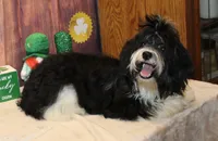 processed/a33199eb-3558-4b31-8a8e-8db808006e47/listing/33e7b0c7-6b68-4459-b0dc-b838a8985e97/e5c4c341-32c7-4c88-b1ad-afa856abfa8c