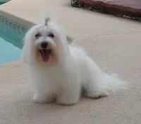 processed/a33199eb-3558-4b31-8a8e-8db808006e47/listing/3edd72db-06d3-4366-bf85-022d7d62f392/7fd51cc9-2747-4f63-9002-08222915e5c1