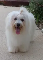 processed/a33199eb-3558-4b31-8a8e-8db808006e47/listing/3edd72db-06d3-4366-bf85-022d7d62f392/9d6343cb-3c42-4786-a6b9-ad01f84fc6e2