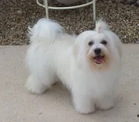 processed/a33199eb-3558-4b31-8a8e-8db808006e47/listing/3edd72db-06d3-4366-bf85-022d7d62f392/efb19492-af6d-4775-8e91-836bc96231a8